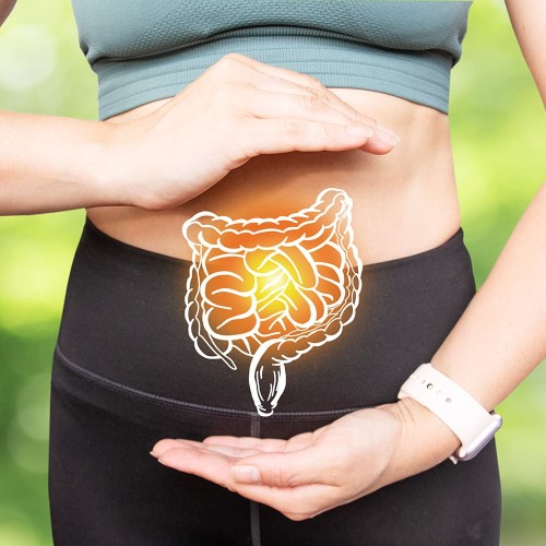 Program Zdrowy Układ Pokarmowy